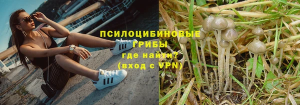 амф Заводоуковск