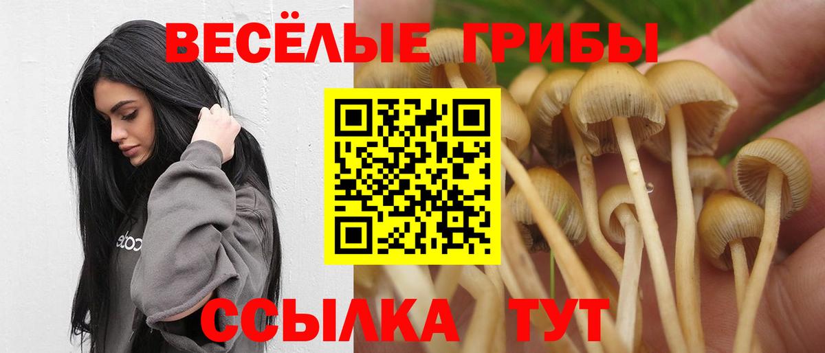 Псилоцибиновые грибы мицелий Краснокаменск